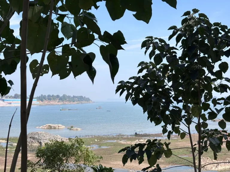 banks of narmada 768x576